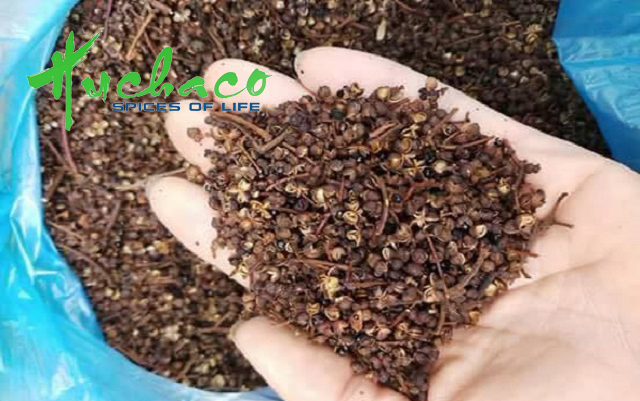 MẮC KHÉN HẠT DỔI MUA Ở ĐÂU